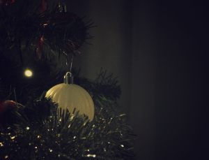 III miejsce - Patrycja Jasin╠üska 2TFR_1